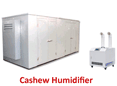 Cashew Humidifier Machine