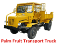 Palm Fruit Transport Truck