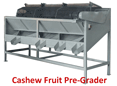 Cashew Fruit Grader